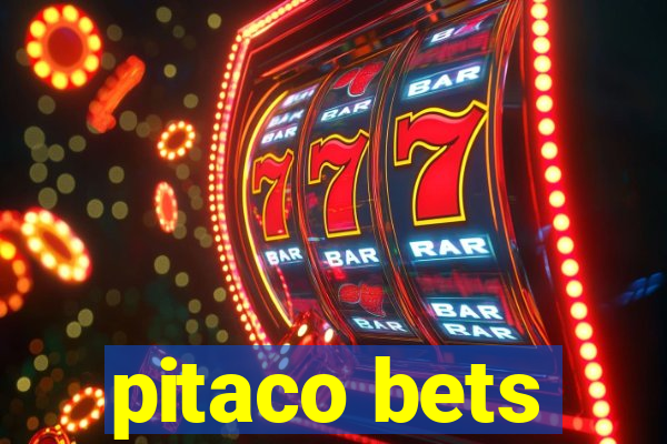 pitaco bets